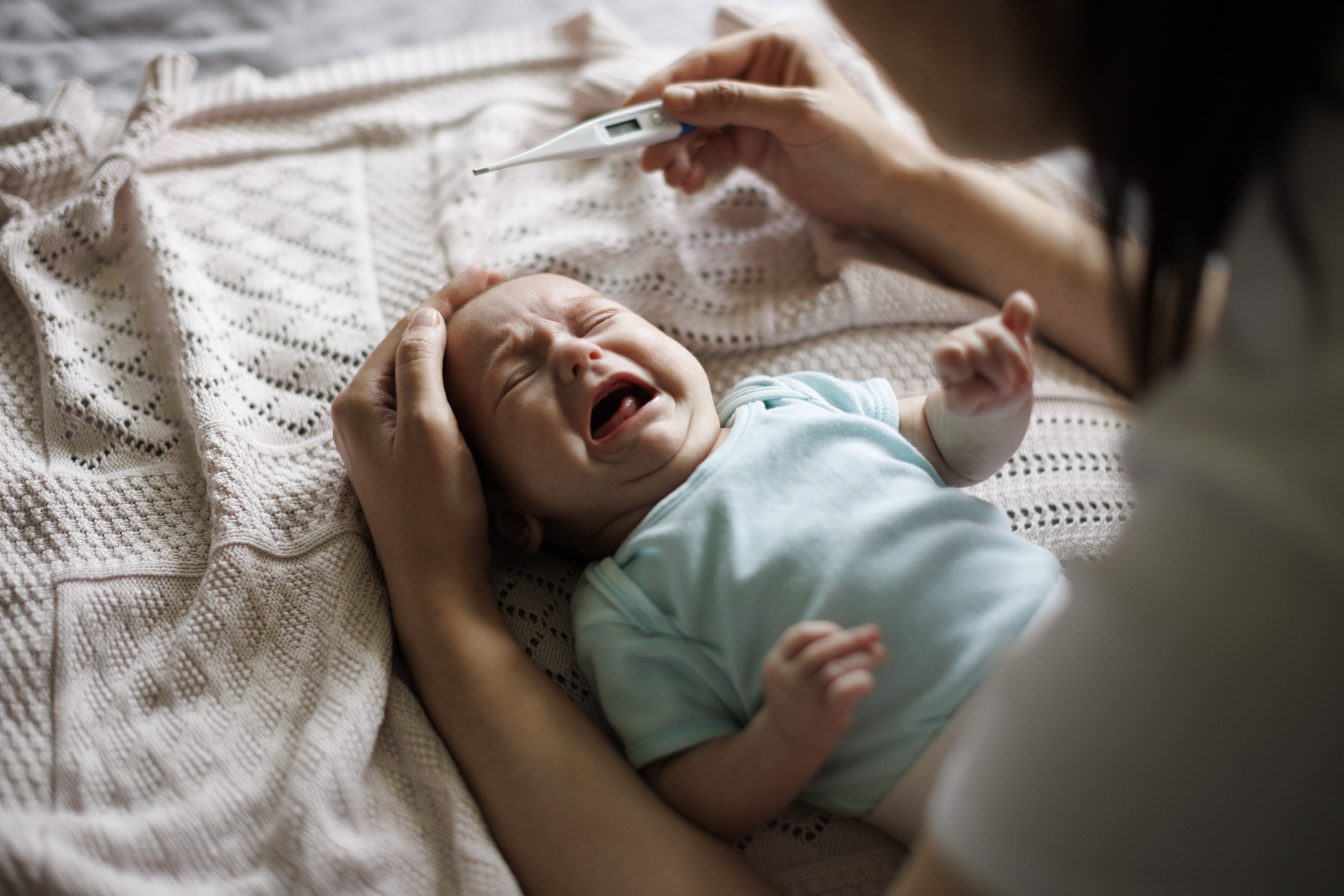 neonato con febbre
