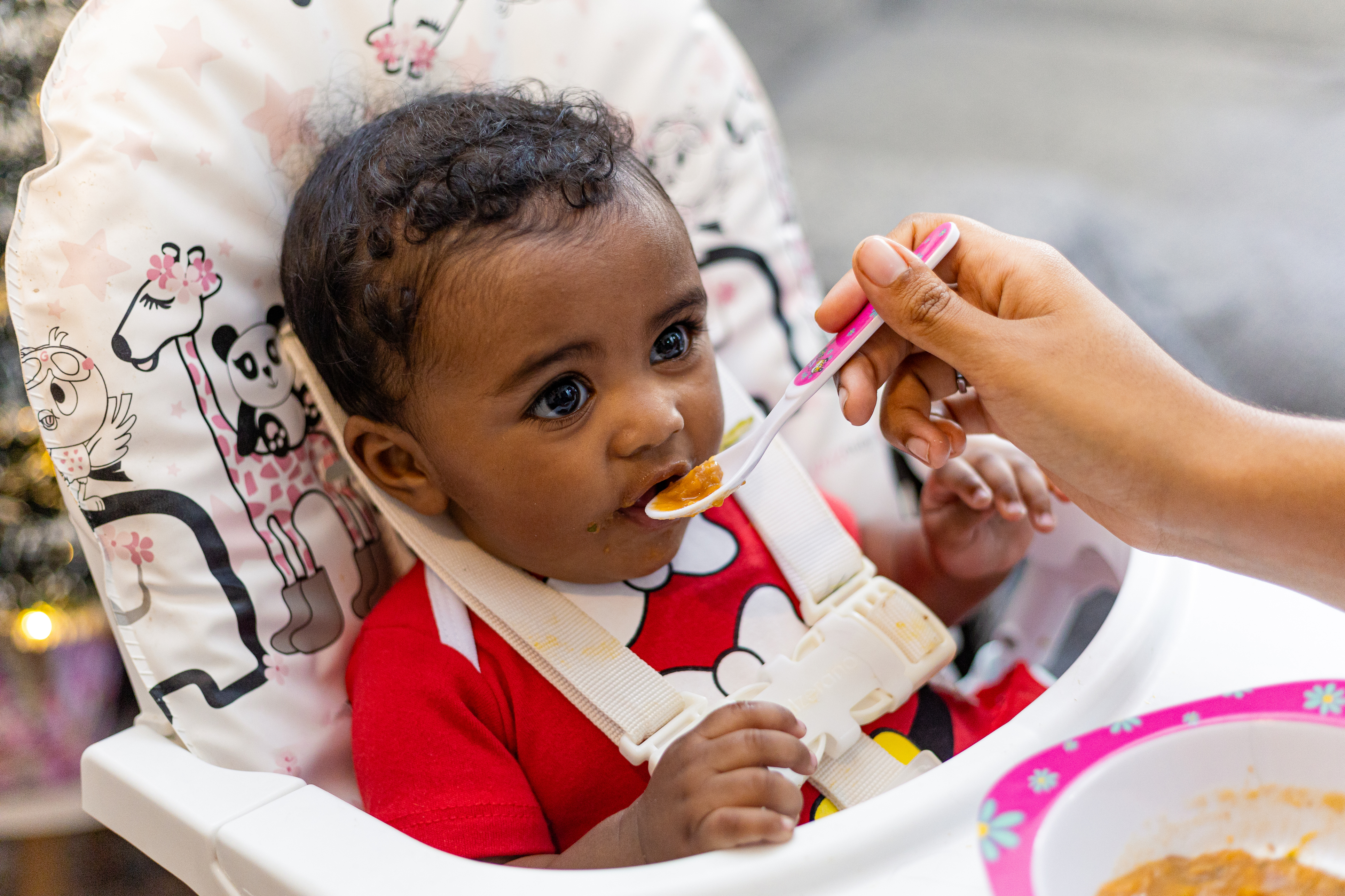 neonato non mangia la pappa